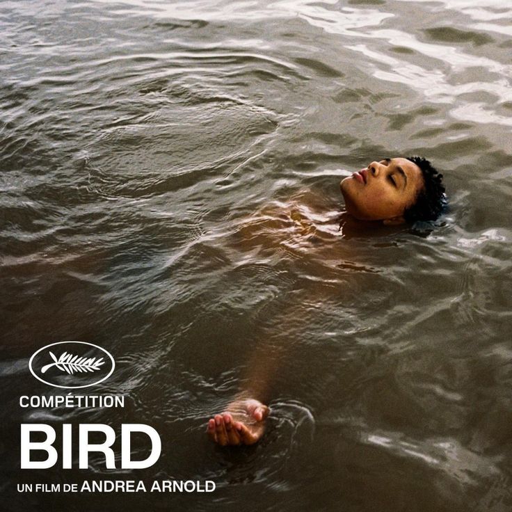 Locandina del film Bird