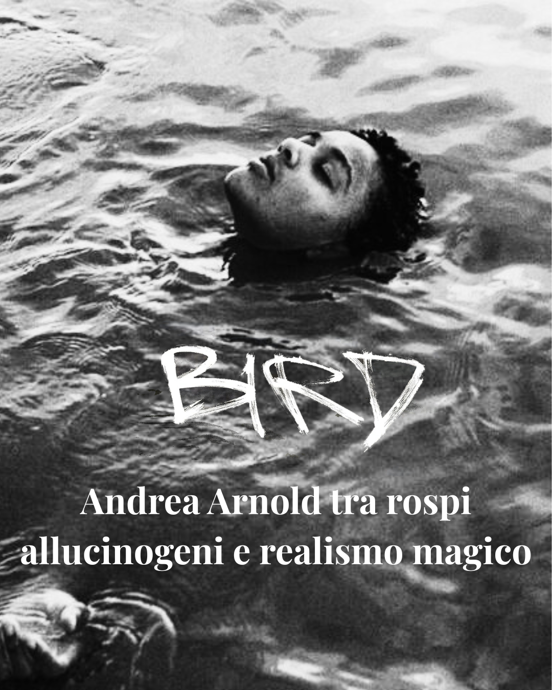 BIRD - Andrea Arnold tra rospi allucinogeni e realismo magico