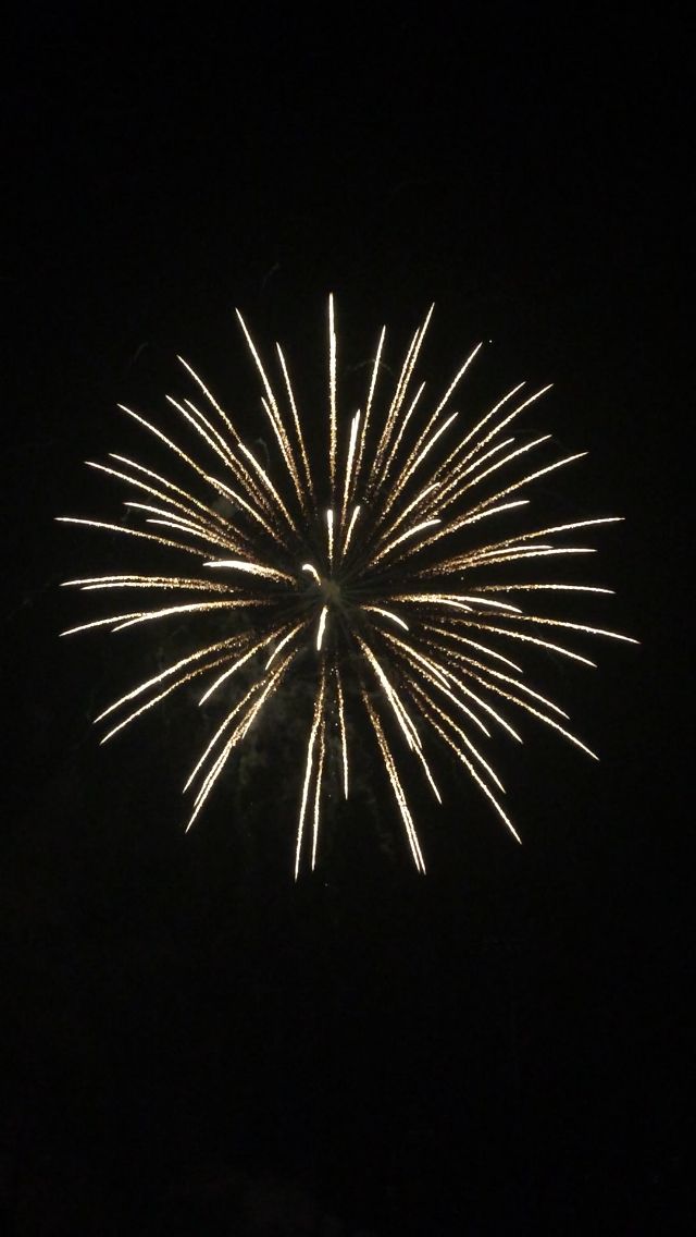 Fuoco d'artificio